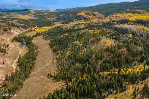 6.66m² Land in Gypsum, USA No. 104546 8