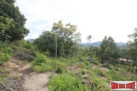 12800m² Land in Surat Thani, Thailand No. 95674 6