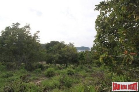 12800m² Land in Surat Thani, Thailand No. 95674 7