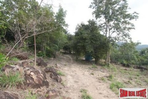 12800m² Land in Surat Thani, Thailand No. 95674 3