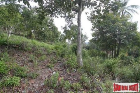 12800m² Land in Surat Thani, Thailand No. 95674 8