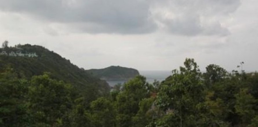 12800m² Land in Surat Thani, Thailand No. 95674