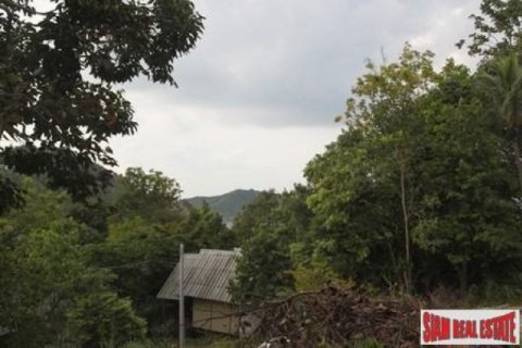 12800m² Land in Surat Thani, Thailand No. 95674 9