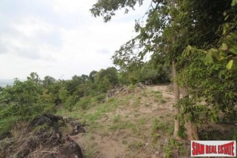 12800m² Land in Surat Thani, Thailand No. 95674 11