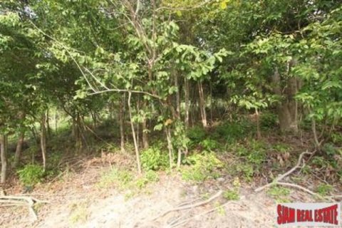 12800m² Land in Surat Thani, Thailand No. 95674 2