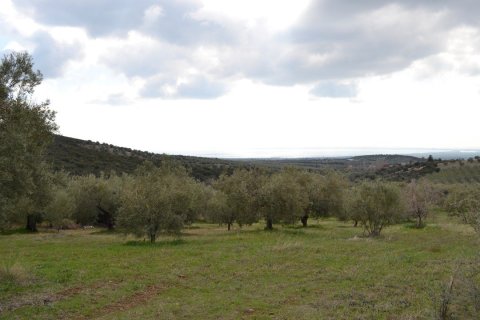 105000m² Land en Polygyros, Greece No. 58857 2