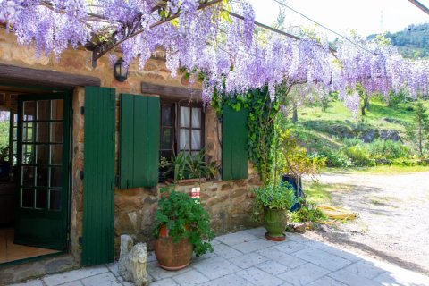 5 dormitorios House en Le Plan-de-la-Tour, France No. 100299 16