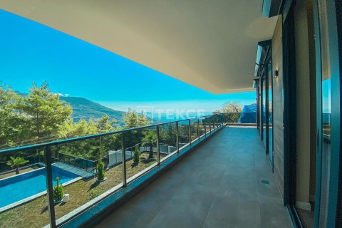 5 bedrooms Villa in Chau Lang, Vietnam No. 15821 29