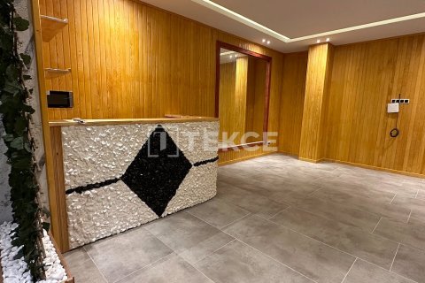 5 bedrooms Villa in Chau Lang, Vietnam No. 15821 20