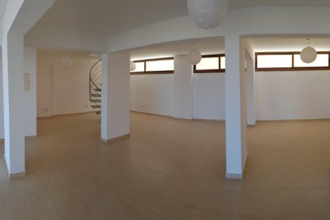 6 bedrooms Villa in Paphos, Cyprus No. 106092 4