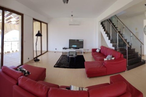 6 bedrooms Villa in Paphos, Cyprus No. 106092 8