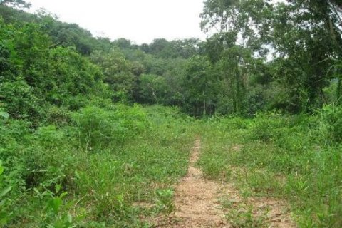 9600m² Land in Kathu, Thailand No. 95644 5