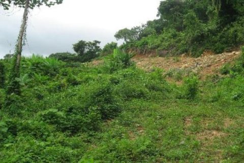 9600m² Land in Kathu, Thailand No. 95644 4