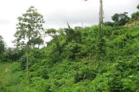 9600m² Land in Kathu, Thailand No. 95644 2