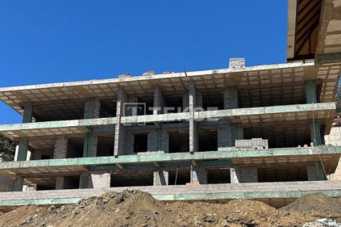 4 bedrooms Apartment in Chau Lang, Vietnam No. 80574 11