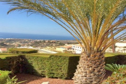 3 chambres Villa à Limassol, Cyprus No. 105296 13