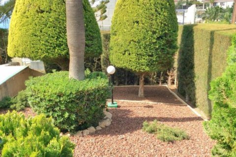 3 chambres Villa à Limassol, Cyprus No. 105296 2