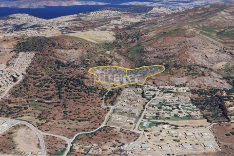 30000m² Land en Phi Dien, Vietnam No. 92930 9