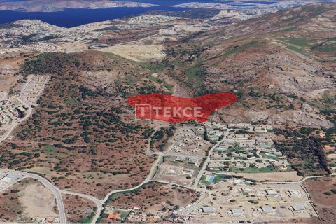 30000m² Land en Phi Dien, Vietnam No. 92930 8