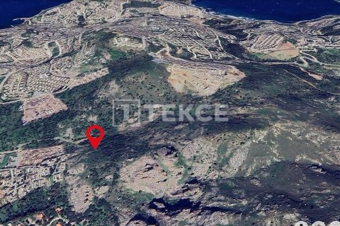 30000m² Land en Phi Dien, Vietnam No. 92930 5