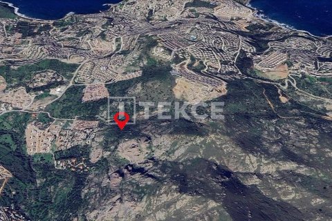 30000m² Land en Phi Dien, Vietnam No. 92930 6