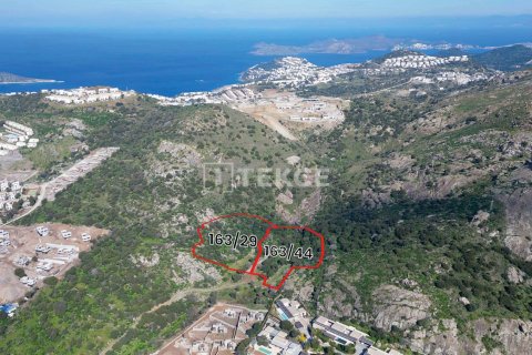 30000m² Land en Phi Dien, Vietnam No. 92930 3