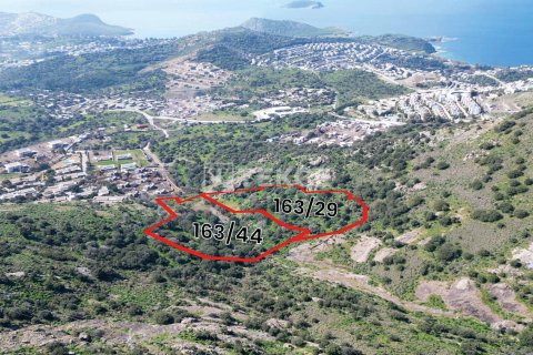 30000m² Land en Phi Dien, Vietnam No. 92930 2