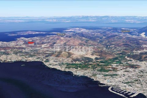 30000m² Land en Phi Dien, Vietnam No. 92930 7