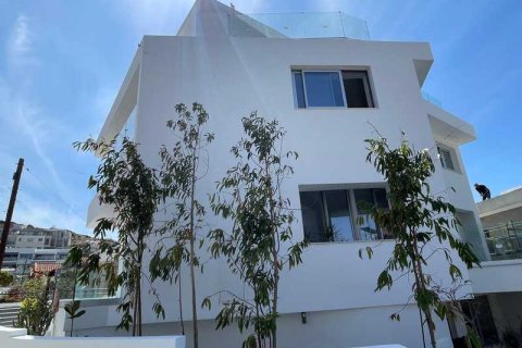 5 chambres House à Limassol, Cyprus No. 100369 2
