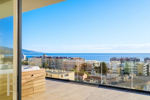 2 bedrooms Apartment in Roquebrune-Cap-Martin, France No. 68136 10