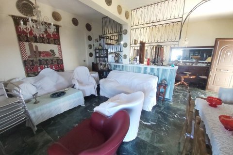 Дом с 14 комнатами в Керкира, Греция №55752 22