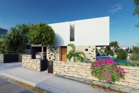 3 chambres Villa à Pegeia, Cyprus No. 69950 3