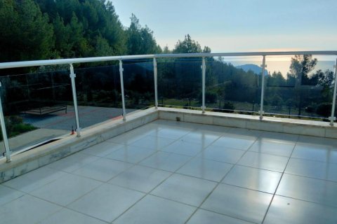 Вилла с 4 комнатами в Chau Lang, Вьетнам №21672 18