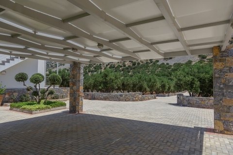 3 bedrooms Villa in Ierapetra, Greece No. 107199 11