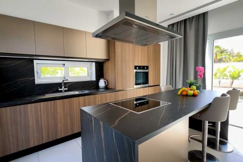 3 bedrooms Villa in Mouttagiaka, Cyprus No. 30999 8