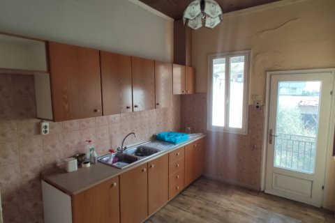 9 rooms Land à Katerini, Greece No. 55676 15