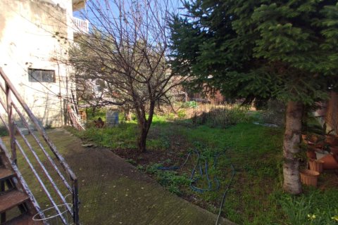 9 rooms Land à Katerini, Greece No. 55676 6