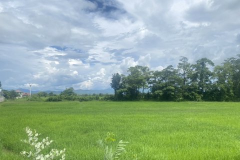 Land in Chiang Mai, Thailand No. 97621 5