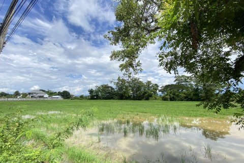 Land in Chiang Mai, Thailand No. 97621 6