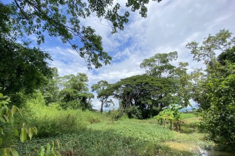 Land in Chiang Mai, Thailand No. 97621 9