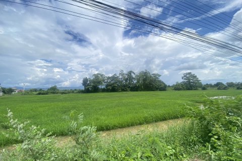 Land in Chiang Mai, Thailand No. 97621 4