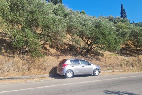 Land in Zakynthos, Greece No. 69556 4