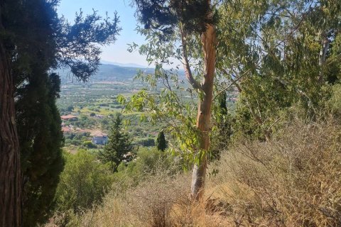 Land in Zakynthos, Greece No. 69556 12