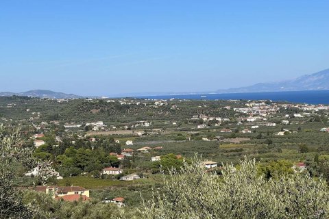 Land in Zakynthos, Greece No. 69556 17