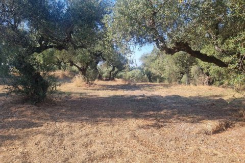 Land in Zakynthos, Greece No. 69556 13