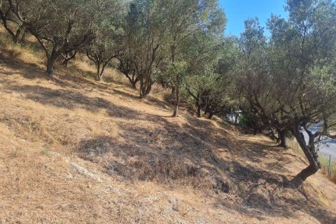 Land in Zakynthos, Greece No. 69556 16