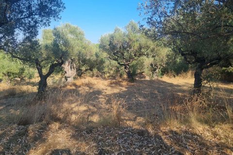 Land in Zakynthos, Greece No. 69556 6
