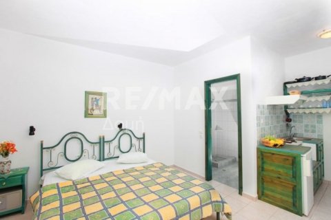 Отель, гостиница с 12 спальнями в Скиатос, Греция №24289 3