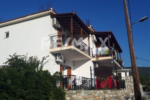 Отель, гостиница с 12 спальнями в Скиатос, Греция №24289 12