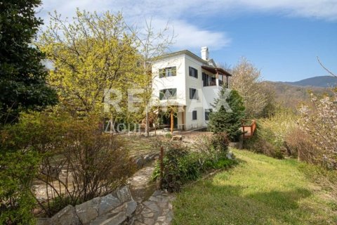 Дом с 4 спальнями в Муреси, Греция №104645 4